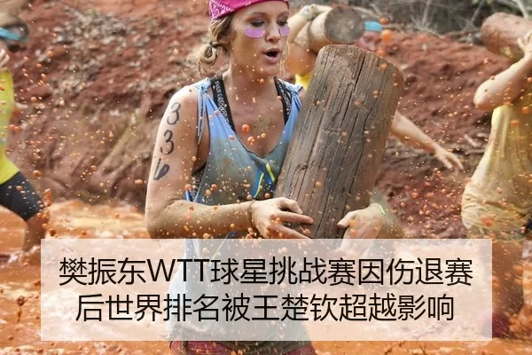 樊振东WTT球星挑战赛因伤退赛后世界排名被王楚钦超越影响